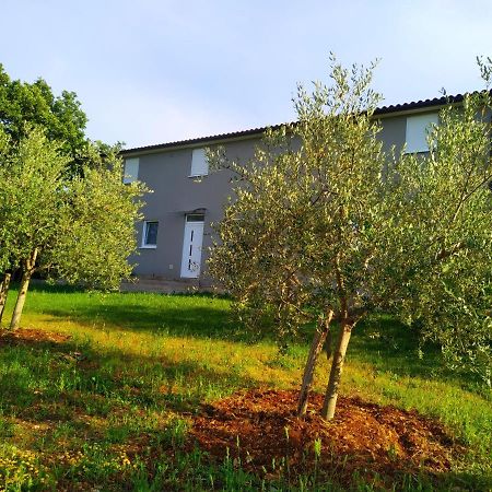 Apartments Valeria Divšići Bagian luar foto