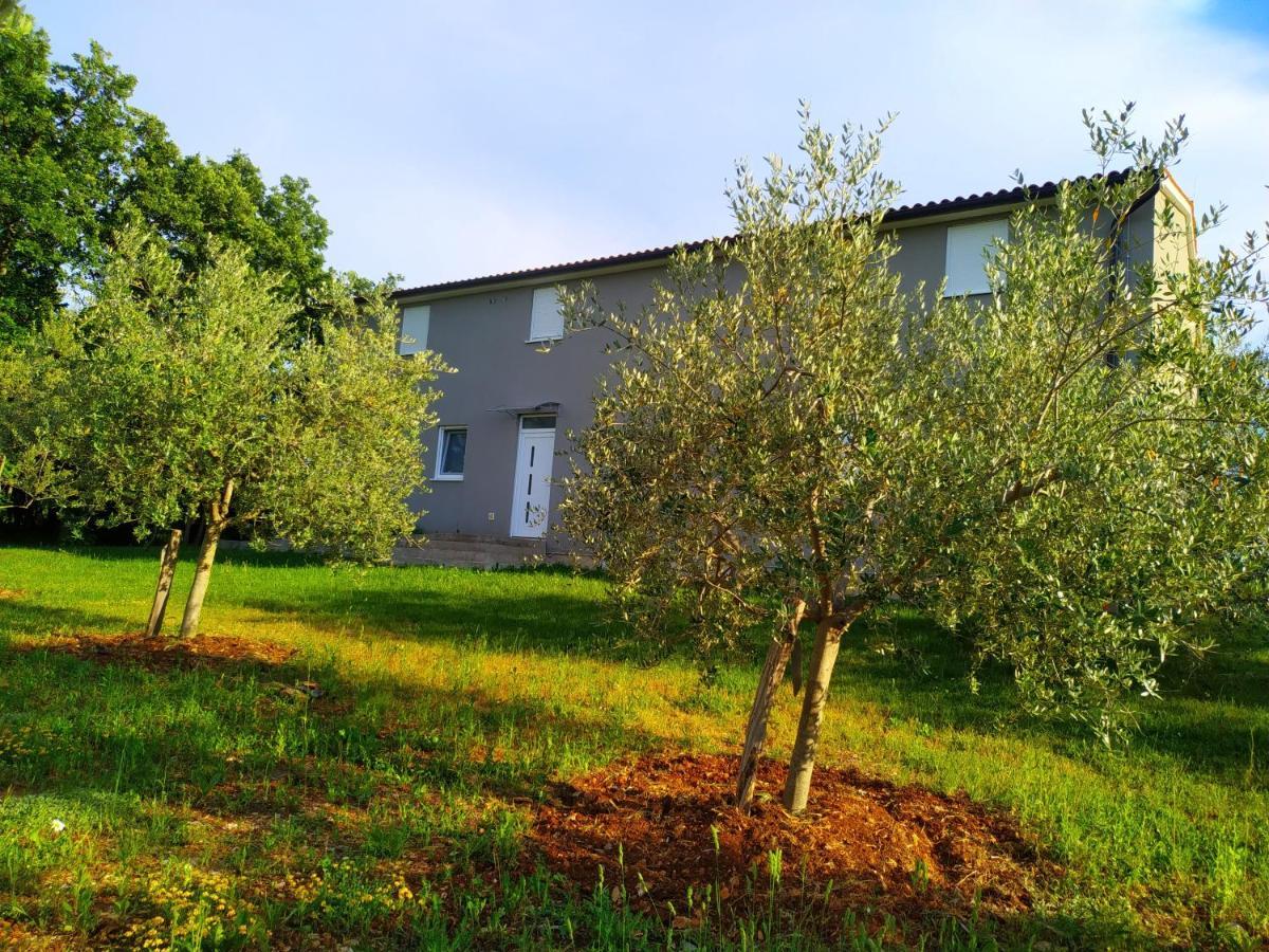 Apartments Valeria Divšići Bagian luar foto